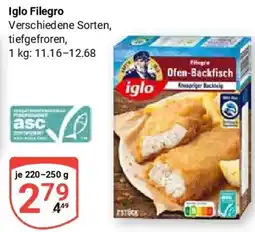 Globus Iglo Filegro Angebot