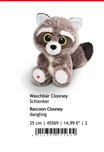 Nici Waschbär Clooney Schlenker Angebot