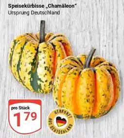 Globus Speisekürbis "Chamäleon" Angebot