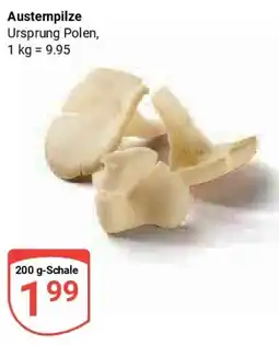 Globus Austempilze Angebot