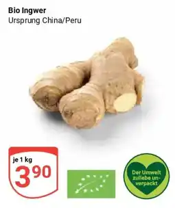 Globus Bio Ingwer Angebot