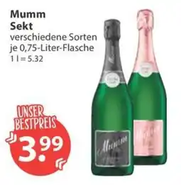 V Markt Mumm Sekt Angebot