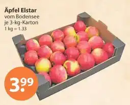 V Markt Äpfel Elstar Angebot