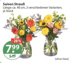 V Markt Saison Strauß Angebot