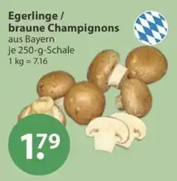 V Markt Egerlinge / braune Champignons aus Bayern Angebot