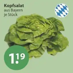 V Markt Kopfsalat aus Bayern Angebot