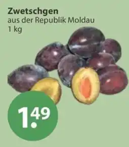 V Markt Zwetschgen Angebot