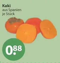 V Markt Kaki Angebot