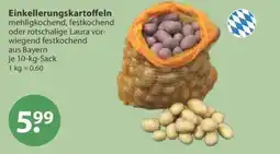 V Markt Einkellerungskartoffeln Angebot