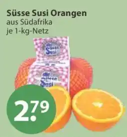 V Markt Süsse Susi Orangen Angebot