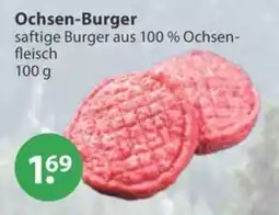 V Markt Ochsen-Burger Angebot