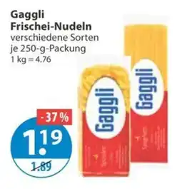 V Markt Gaggli Frischei-Nudeln Angebot