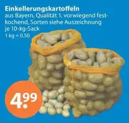 V Markt Einkellerungskartoffeln Angebot