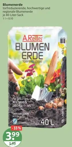 V Markt A.Reiter Blumen Erde Angebot