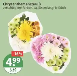 V Markt Chrysanthemenstrauß Angebot