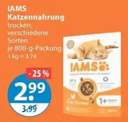 V Markt IAMS Katzennahrung Angebot