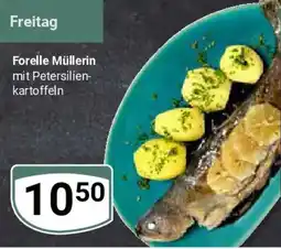 Globus Forelle Müllerin Angebot