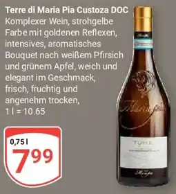 Globus Terre di Maria Pia Custoza DOC Angebot