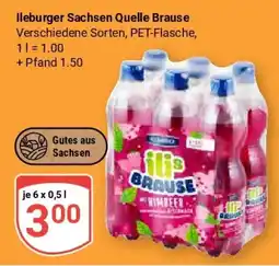 Globus Ileburger Sachsen Quelle Brause Angebot