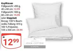 Globus Kopfkissen oder Steppbett Angebot