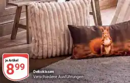 Globus Dekokissen Angebot