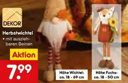 Netto Marken-Discount DEKOR Herbstwichtel Angebot