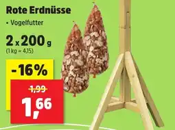 Thomas Philipps Rote Erdnüsse Vogelfutter Angebot