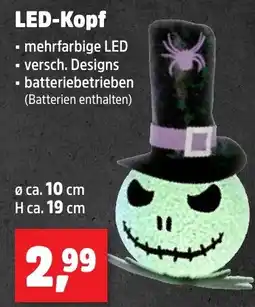Thomas Philipps LED-Kopf Angebot