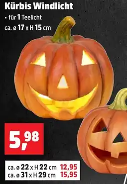 Thomas Philipps Kürbis Windlicht Angebot