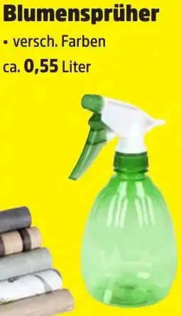 Thomas Philipps Blumensprüher Angebot