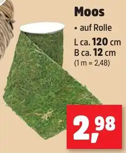 Thomas Philipps Moos Angebot