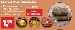 Thomas Philipps Mikro-LED-Lichterkette Angebot
