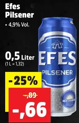 Thomas Philipps Efes Pilsener Angebot