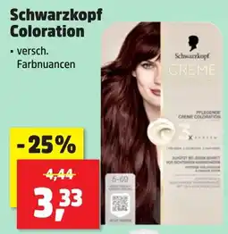 Thomas Philipps Schwarzkopf Coloration Angebot