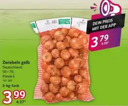 Selgros Zwiebeln gelb Angebot