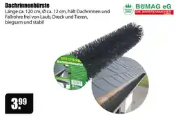 V Baumarkt BOTANIK Dachrinnenbürste Angebot