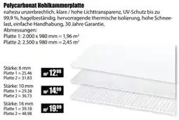 V Baumarkt Polycarbonat Hohlkammerplatte Angebot