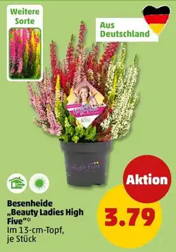 PENNY Besenheide "Beauty Ladies High Five"* Angebot