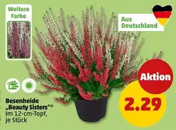 PENNY Besenheide "Beauty Sisters" Angebot