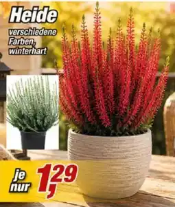 Posten Börse Heide Angebot