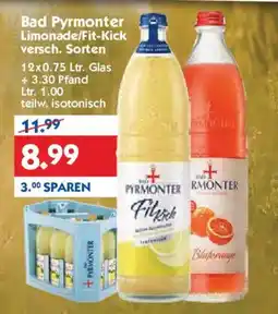 Hol'ab Getränkemarkt Bad Pyrmonter Limonade/Fit-Kick Angebot