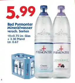 Hol'ab Getränkemarkt Bad Pyrmonter Mineralwasser Classic Angebot