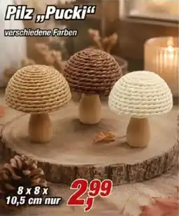 Posten Börse Pilz „Pucki“ Angebot