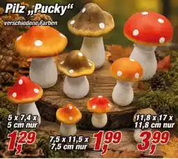 Posten Börse Pilz „Pucky“ Angebot