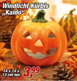 Posten Börse Windlicht Kürbis "Kaido" Angebot