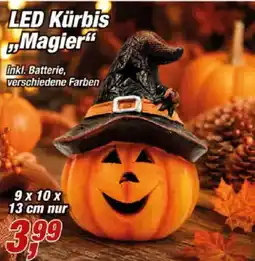 Posten Börse LED Kürbis "Magier" Angebot