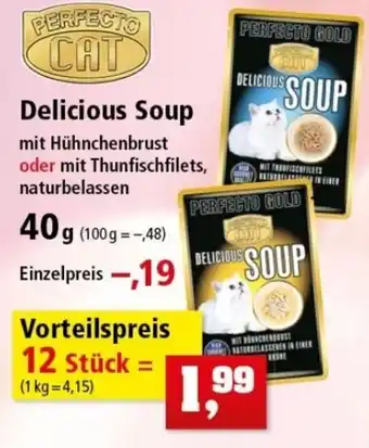 Thomas Philipps Perfecto Cat Delicious Soup 40g Angebot