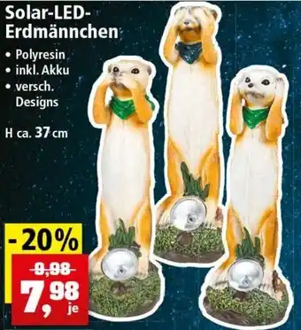 Thomas Philipps Solar LED Erdmännchen Angebot