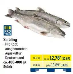 METRO Saibling Angebot