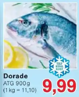 Jawoll Dorade Angebot